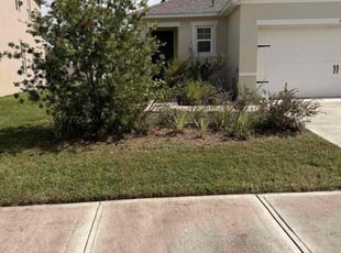 Benjamin H.'s lawn service service result