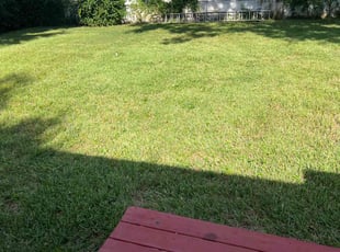 Clifton C.'s turf maintenance service result