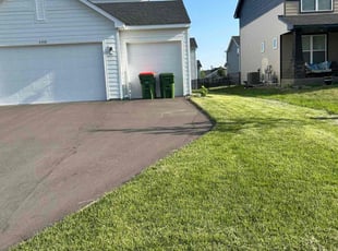 David M.'s Long Grass Cleanup service result