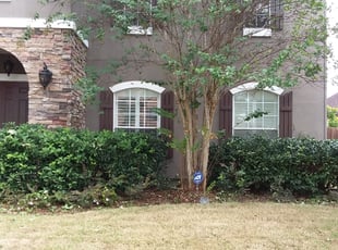 Alita T.'s Bush Trimming service result