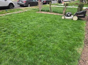 Tim M.'s landscaping services service result