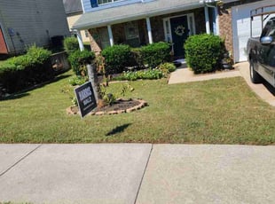 Silicia A.'s lawn care service result