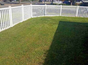 Mariah G.'s grass maintenance service result