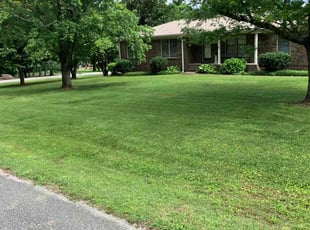 Nicholas G.'s lawn service service result