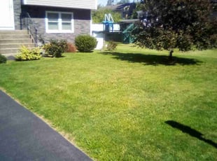 Chris W.'s lawn maintenance service result