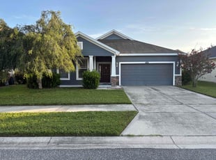 Andrew O.'s yard maintenance service result