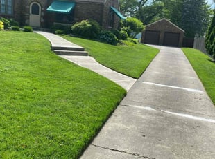 Gloria J.'s grass cutting service result
