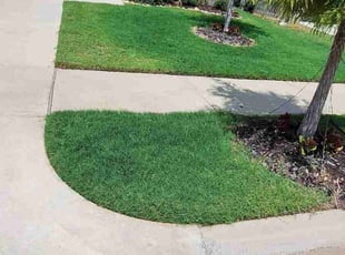 Jonathan W.'s lawn care service result