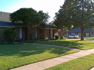 Debbie L.'s yard work service result