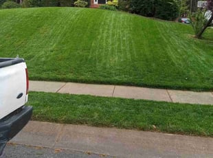 Phillip B.'s lawn service service result