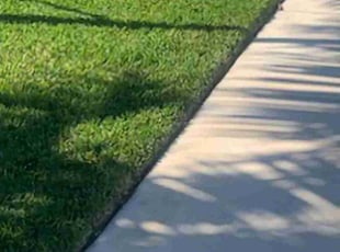 Giovanni B.'s lawn maintenance service result