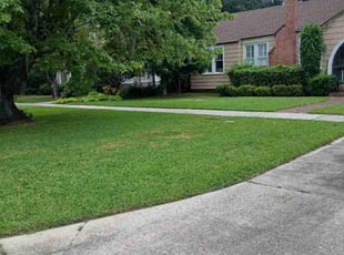 Juan A.'s yard care service result