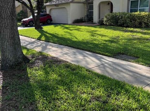 Kelvin S.'s grass maintenance service result