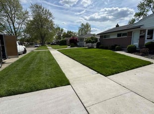 Tamara C.'s lawn service service result
