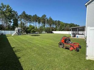 Hali P.'s grass maintenance service result