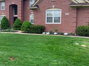 Patricia D.'s lawn care services service result