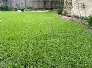 Stephanie A.'s lawn service service result