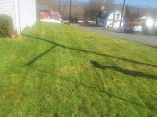 Gabrielle M.'s lawn care service result