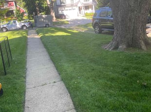 Erin C.'s lawn service service result