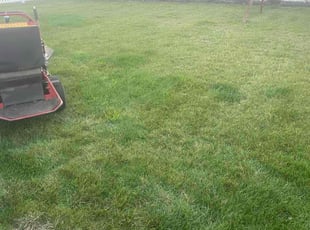 Garland P.'s Flower Bed Weeding service result