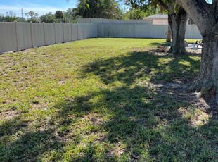 Amanda D.'s grass maintenance service result