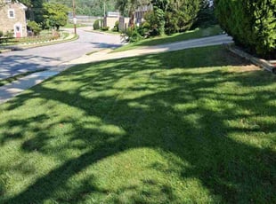 Victor L.'s lawn service service result