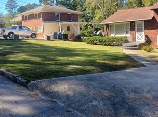 Sergio L.'s lawn care service result