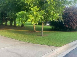Yuzhong W.'s lawn service service result