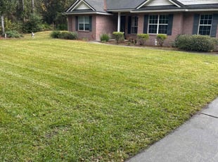 Debbie A.'s turf care service result