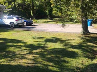 Ray P.'s lawn care service result