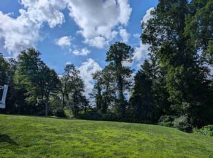 Sandra J.'s turf care service result