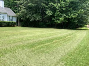 Diane P.'s landscape maintenance service result