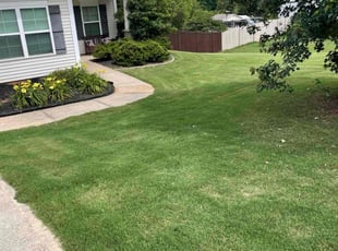 Julianne D.'s lawn maintenance service result