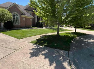 Hanz P.'s lawn maintenance service result