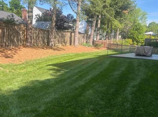 Samuel T.'s lawn maintenance service result
