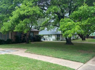 Megan S.'s grass maintenance service result