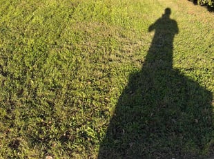 Rick K.'s Long Grass Cleanup service result