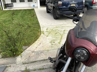 Emeana C.'s turf maintenance service result
