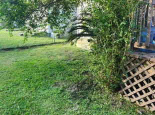 Teresa P.'s Bush Trimming service result