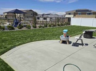 Mike K.'s grass maintenance service result