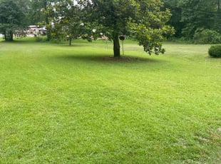 Dae K.'s turf maintenance service result
