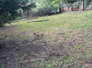 Mya P.'s turf maintenance service result