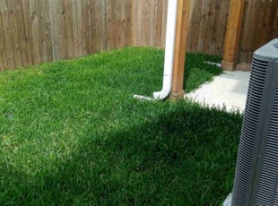 Deborah F.'s turf care service result