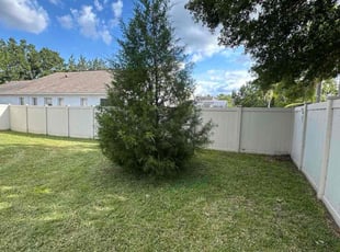 Rafael I.'s lawn service service result