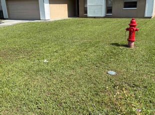 Assad Y.'s lawn service service result