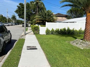 Carolyn K.'s lawn maintenance service result