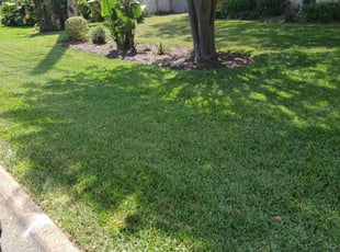 Chris C.'s lawn care services service result