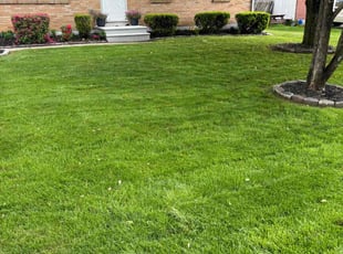 Joe B.'s turf maintenance service result