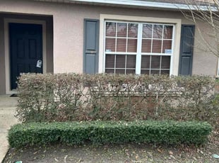 Phillip B.'s Bush Trimming service result