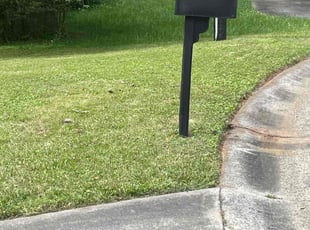 Georgio K.'s lawn care service result